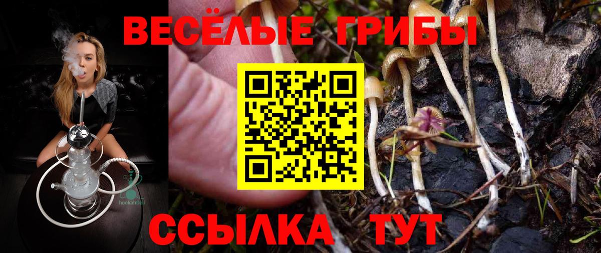 Псилоцибиновые грибы мухоморы  Псилоцибиновые грибы Psilocybine cubensis  Вход с VPN  Орск 